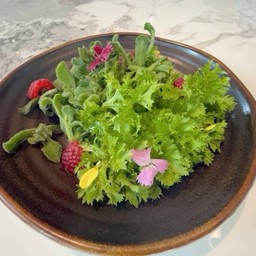 MENU_3032892TG_1737869800