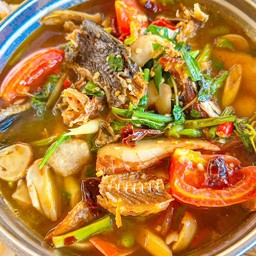 ต้มโค้งปลาช่อนย่าง (หม้อไฟ)