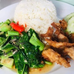 ข้าวคะน้าหมูทอด