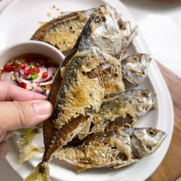 ปลาทูสด ทอดน้ำปลา