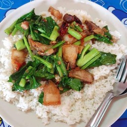 ข้าวคะน้าหมูกรอบ