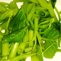 ผักบุ้งลวก