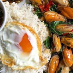 กระเพาหอยแมลงภู่