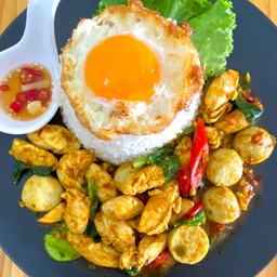 ข้าว + เครื่องแกงไก่ + ลูกชิ้นปลา ( ไม่รวมไข่ ) (Chicken Curry Rice )