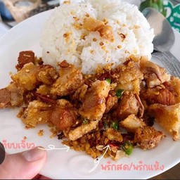 ข้าวหมูกรอบคั่วพริกเกลือ