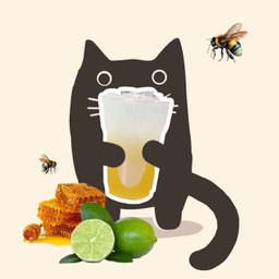 น้ำผึ้งมะนาว โซดา