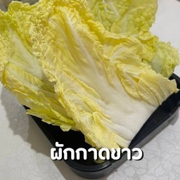 ผักกาดขาว