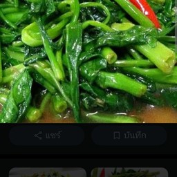 ผัดผักบุ้งไฟแดง