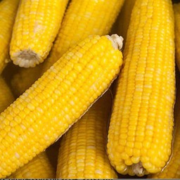 ข้าวโพดหวานต้ม1ฝัก