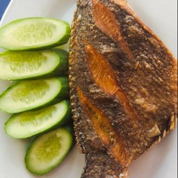 ปลานิลแดดเดียว(แบบตัว)