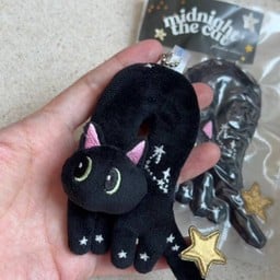 Midnight The Cat