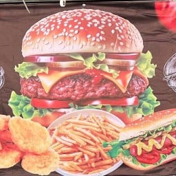 Burger Earth