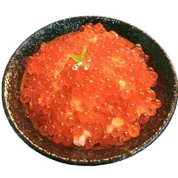 Ikura Mini Don