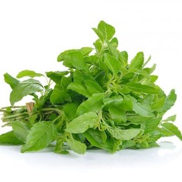 ใบกระเพรา