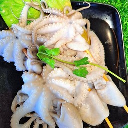 หมึกสาย ตัวใหญ่