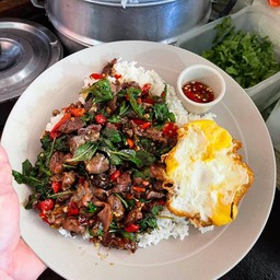 กะเพราเครื่องในไก่ ไข่ดาว ราดข้าว