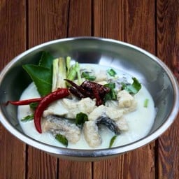 ต้มข่าปลาช่อน