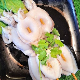 หมึกกะดอง ตัวใหญ่