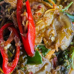 ผัดฉ่าปลาบึก(กับข้าว)