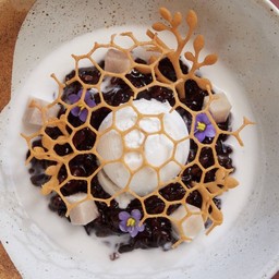 บีโกหมอย