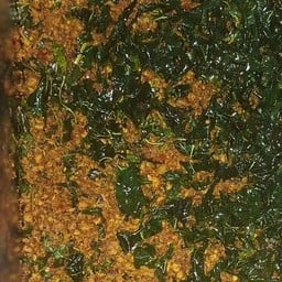 ร้านข้าวแกง แม่อิ๋ว