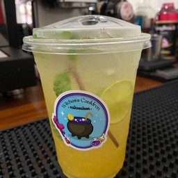 Oasis Essence