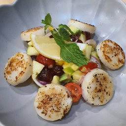 SA4:  Seared Scallops Mixed Salad