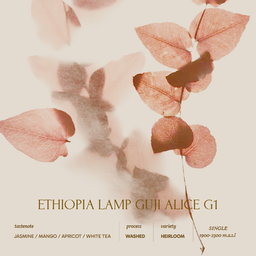 Ethiopia Lamp GUJI Alice G1