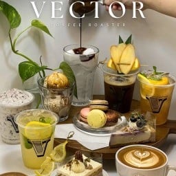 Vector Coffee Roaster แฟคตอรี่