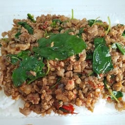 ข้าวกะเพราหมูสับ
