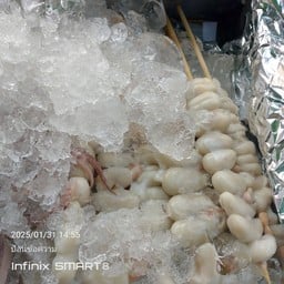 ไข่กระดองเล็ก เต็มไม้