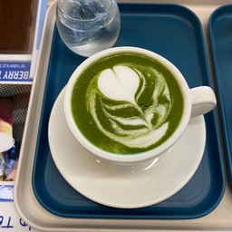 มัทฉะ ลาเต้ร้อน