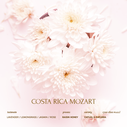 Costa Rica Musician series MOZART