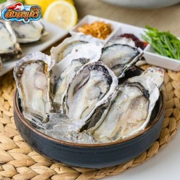 หอยนางรม เกาหลี เกรดนำเข้า ชุด 5ตััว