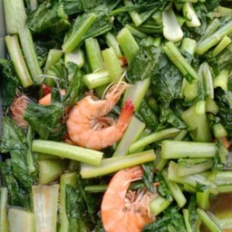 ผัดกวางตุ้งกุ้ง