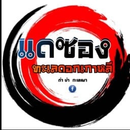 แดซอง ตามสั่ง ทะเลดองเกาหลี .