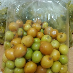 พุทราบ้าน