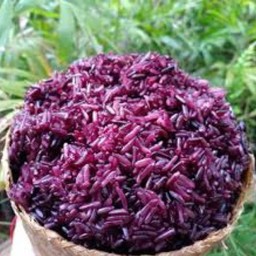 ข้าวเหนียว (ดำ)