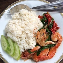 ข้าวราดกะเพรา