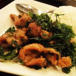 ข้าวกระเพรา หมูทอด