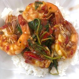 กะเพรากุ้ง