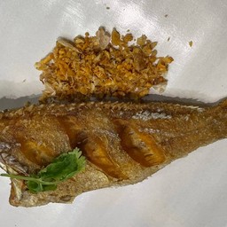 ปลาเก๋าเป็นตัว