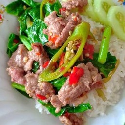 ข้าวราดผัดคะน้าหมูสด
