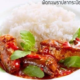 กระเพราปลากระป๋อง ราดข้าว
