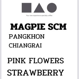 Magpie Scm Ice Drip.