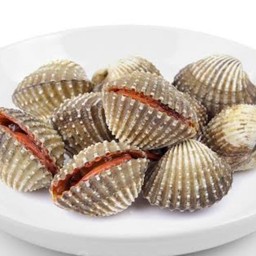 หอยแครง