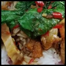 กระเพราหมูกรอบราดข้าว
