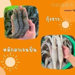 กุ้งสด