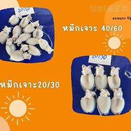 หมึกเขาจาะ