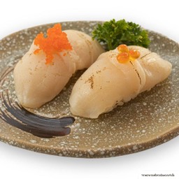 SETหอยเชลล์